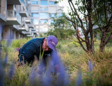 Vebegogroenjuni2025 4420