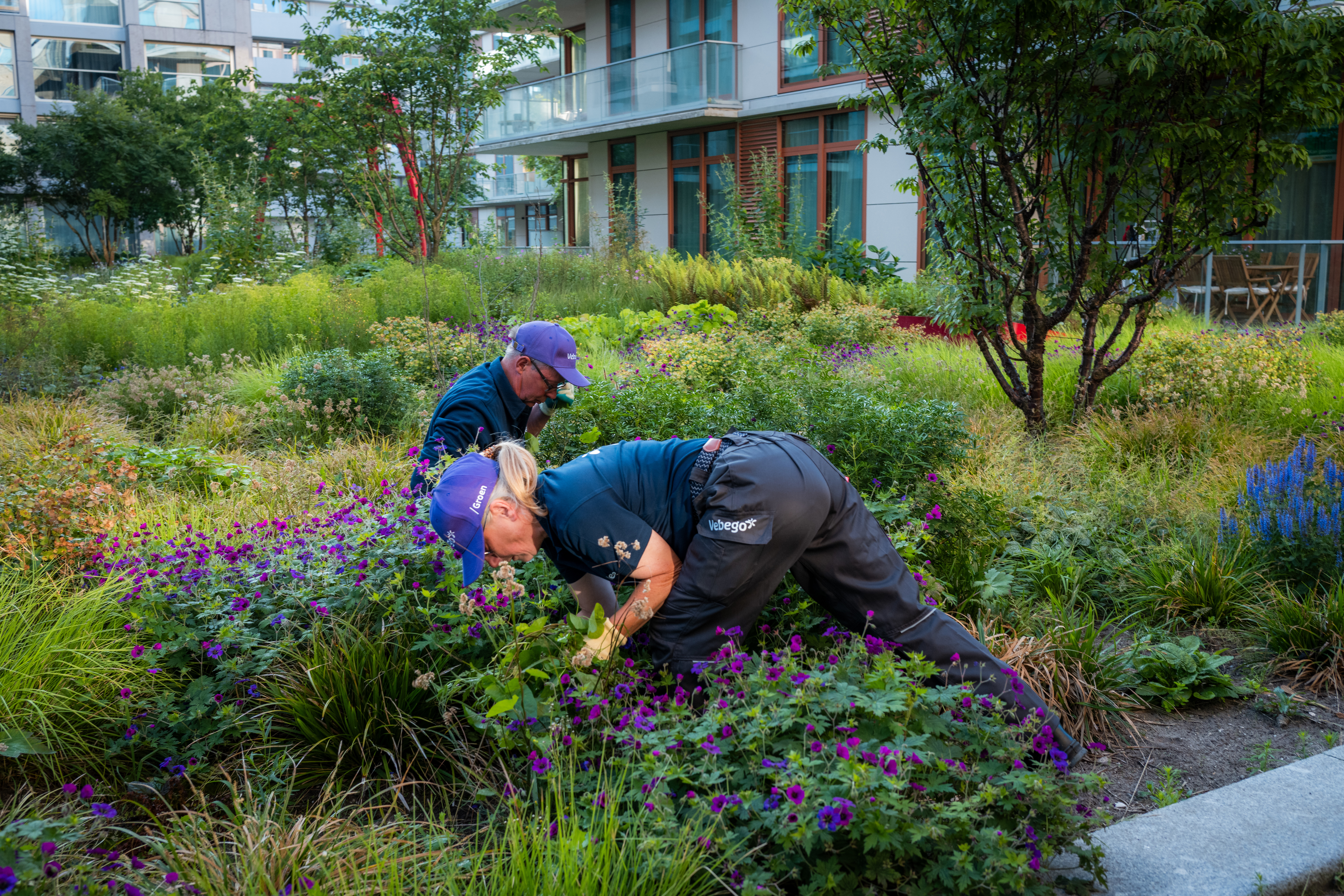 Hoveniers In Het Groen