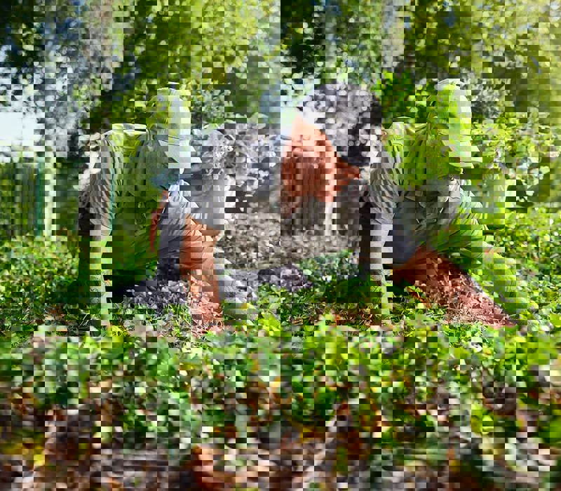 Zandbeek Vebego 2348 V2