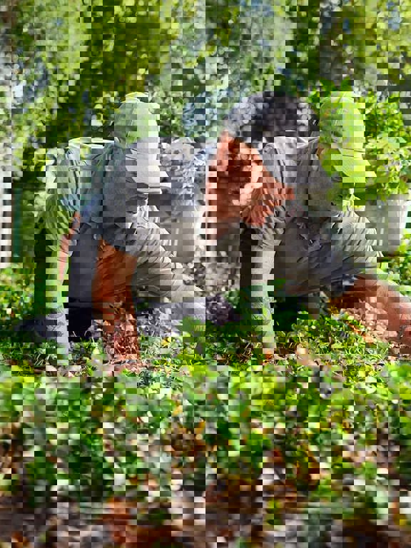 Zandbeek Vebego 2348 V2