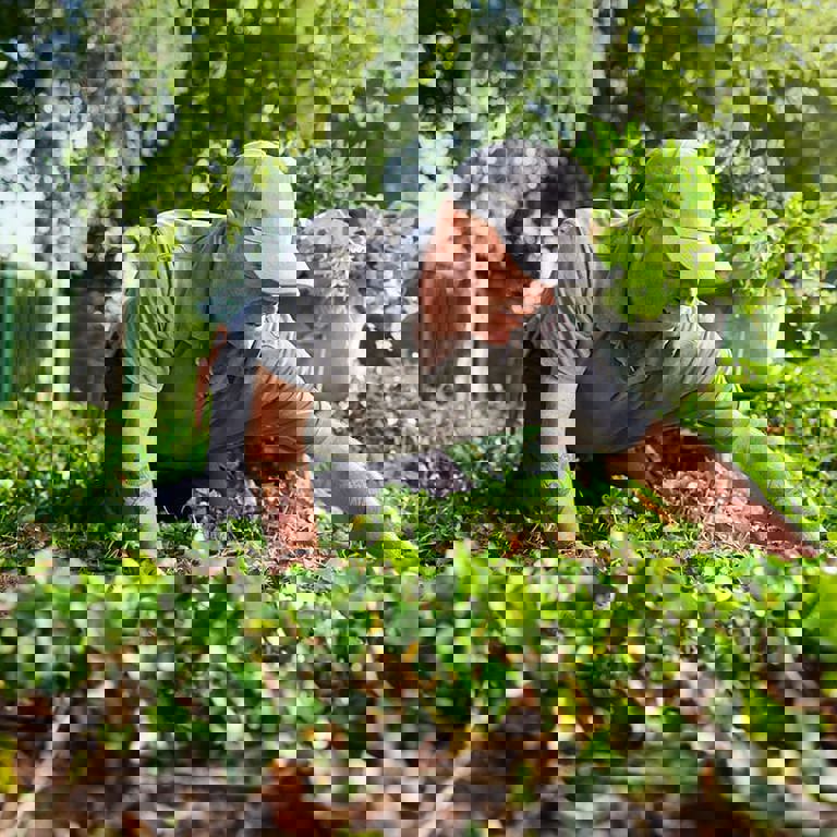 Zandbeek Vebego 2348 V2