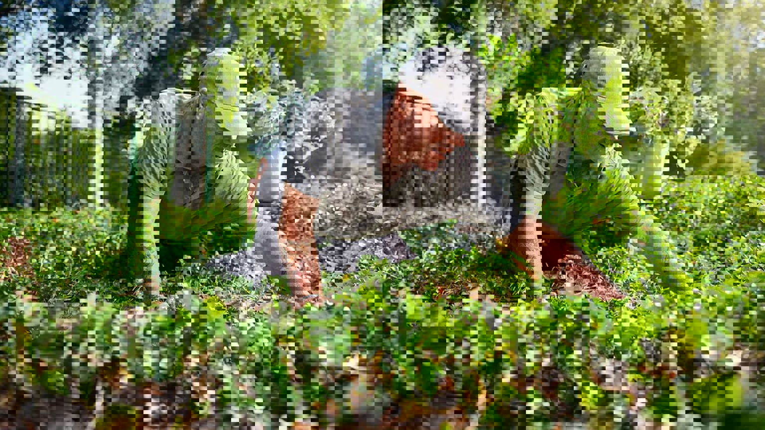 Zandbeek Vebego 2348 V2